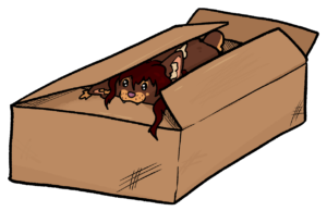27-02-22-cat-things-box-LILYFIE